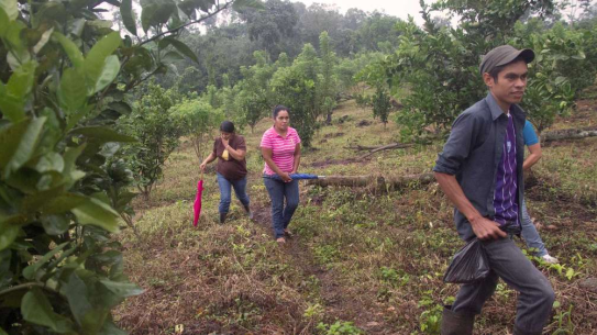 People walking through field