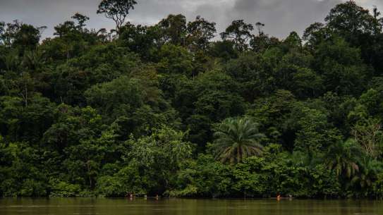 Riverbank in Colombia