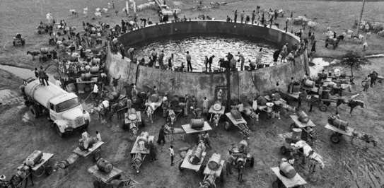 Cattle watering station in Senegal during 1978 drought