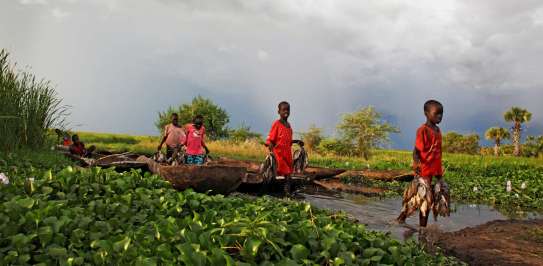 Children in South Sudan collect fish