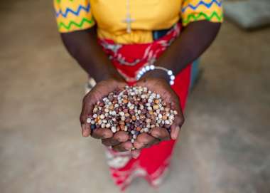 Handful of pigeon peas